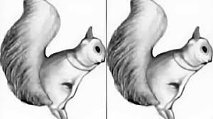 Optical illusion