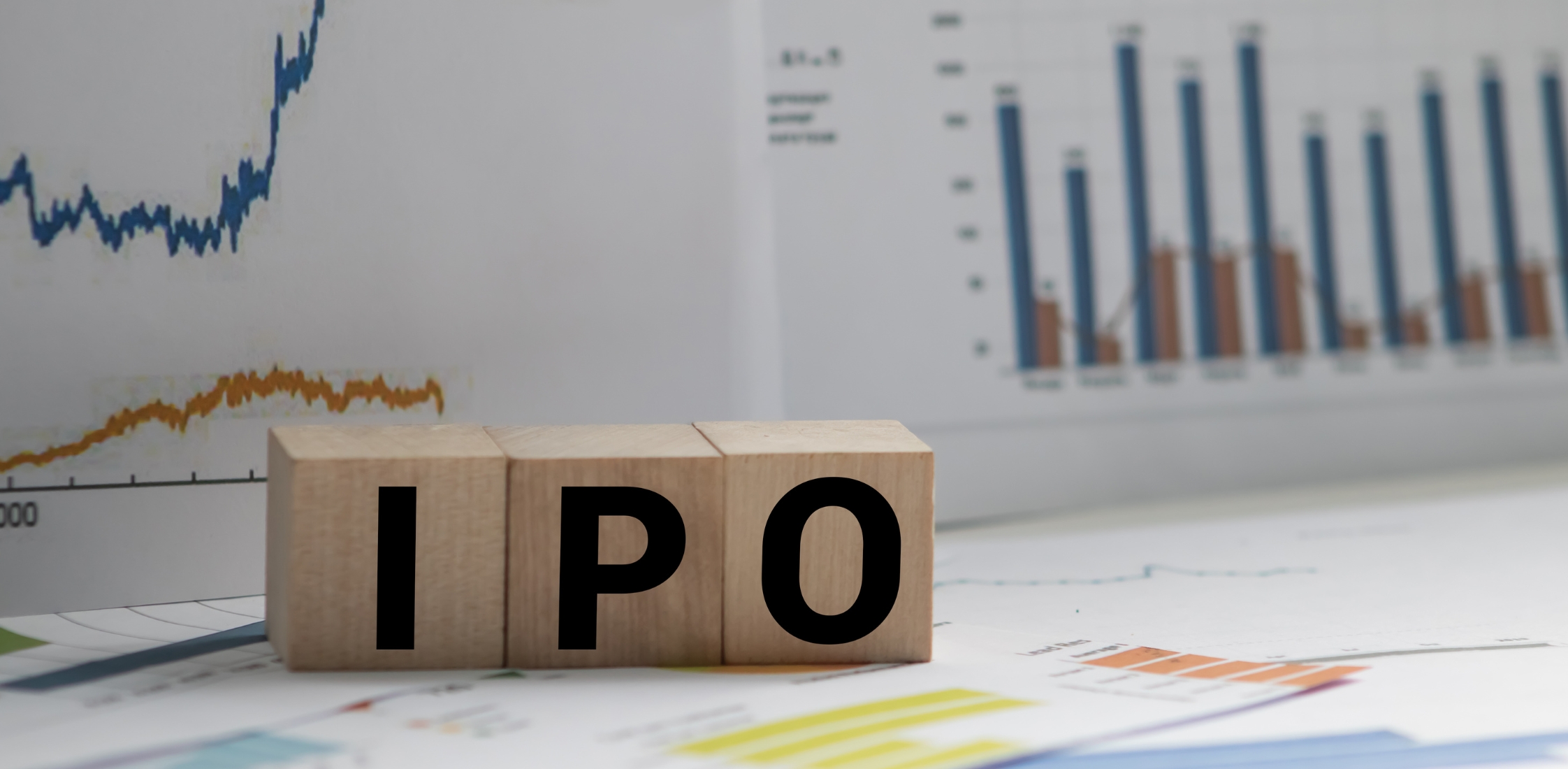 IPO GMP and Allotment Status