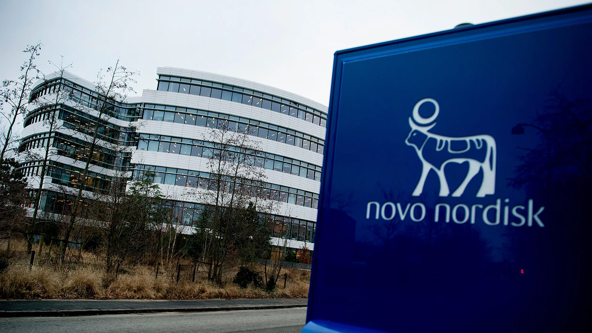 Novo Nordisk
