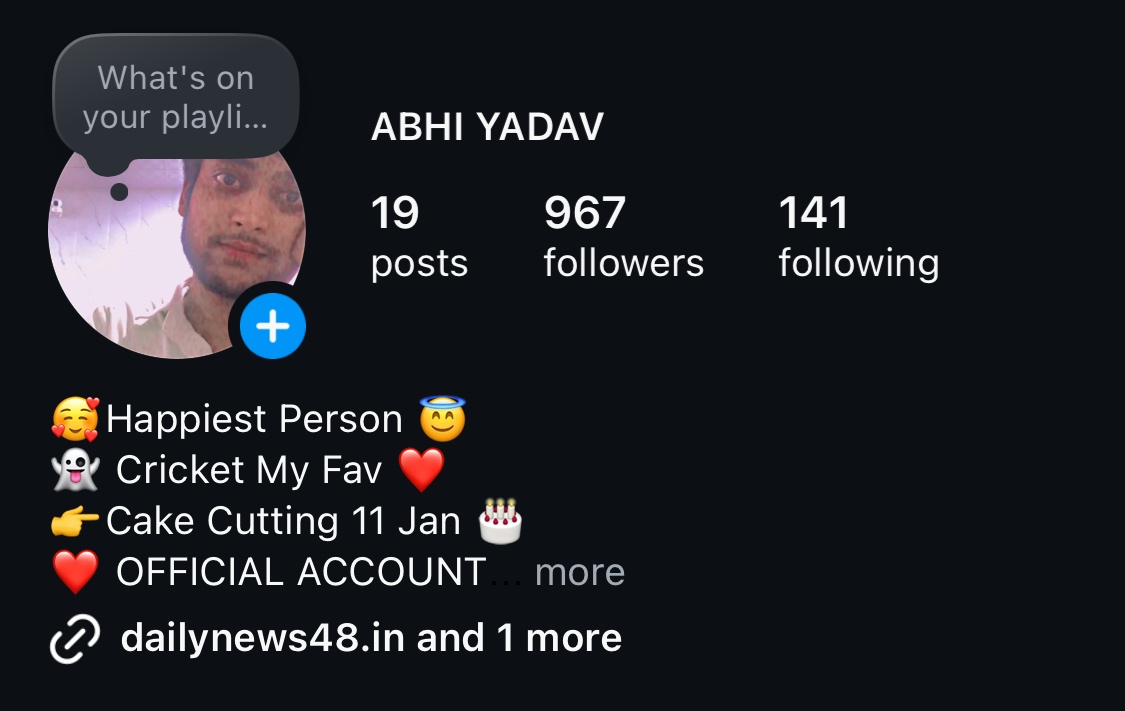 Attitude Instagram Bio
